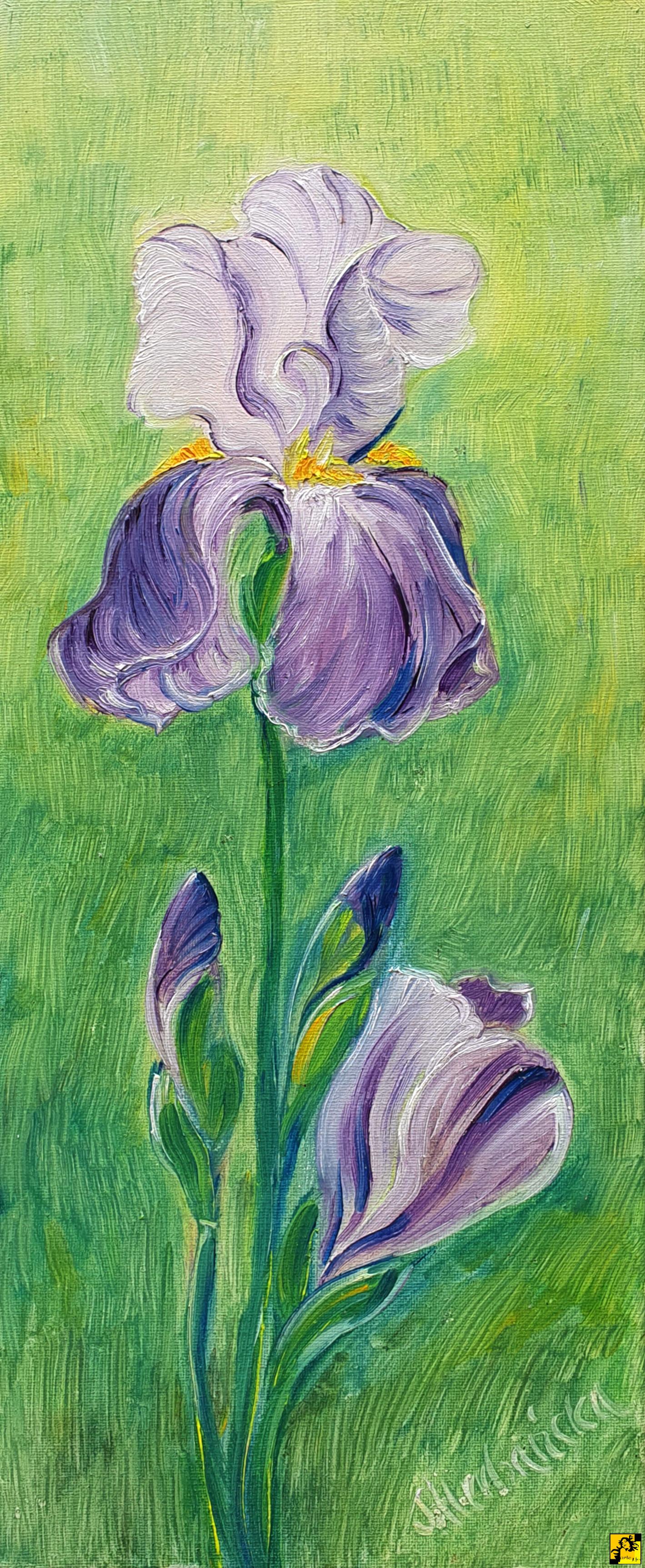 Sylwiana Herbańska: 