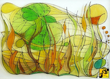 Zachodzi słoneczkoII