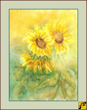 Słoneczniki w słońcu