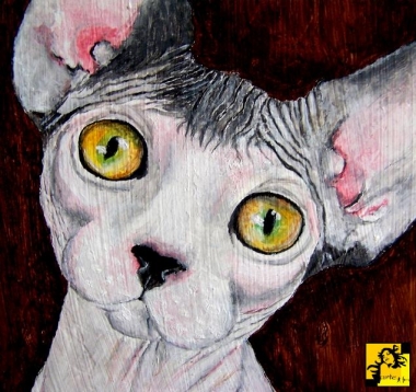 sphynx
