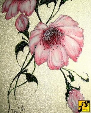 Cherry blossom (zbliżenie )