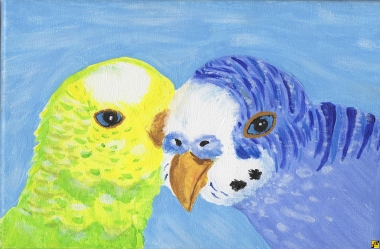 Papużki nierozłączki