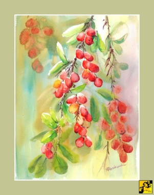 BARWY JESIENI - BERBERYS