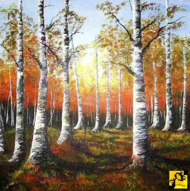 Brzezina II70x70 