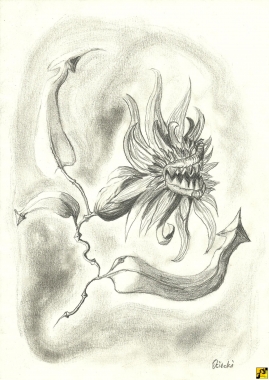 Agresywny kwiat nr 2