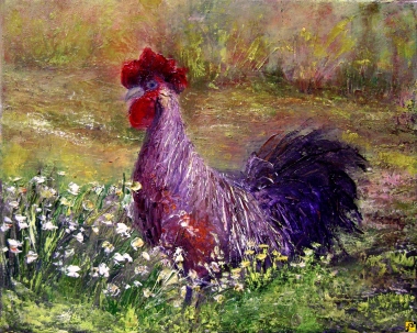 Kogut i narcyze