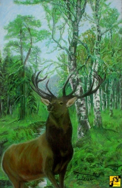 Cztery pory roku - Wiosna