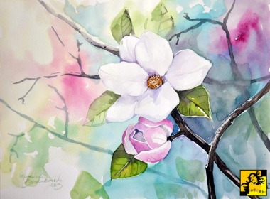 Magnolia
