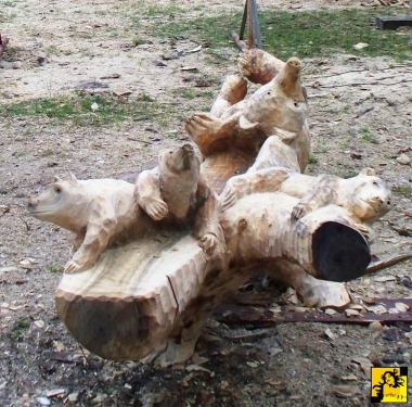 ława niedźwiadków