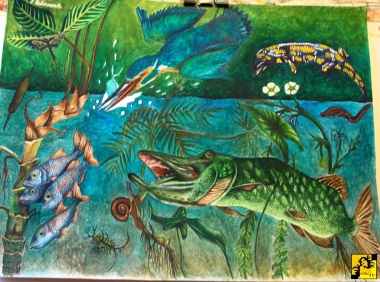 Szczupak i zimorodek.