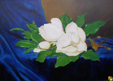 Magnolia II