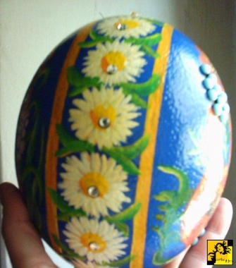 Jajo Strusie - Stokrotki