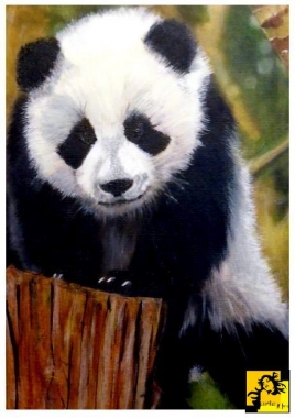 Panda wielka