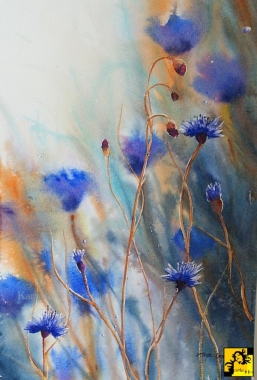 W słońce zaplątane