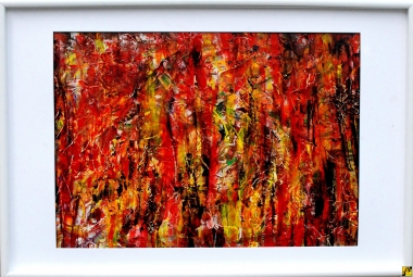 Ogień w sercu drzew