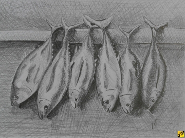 Fish market