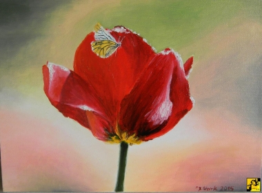 Tulipan i motyl