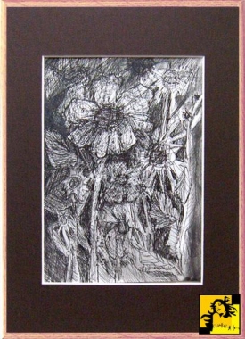 Szkic ogrodowy -  czarno biały rysunek