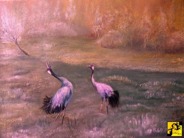 Tańczące żurawie
