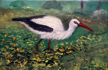 Spacer w kaczeńcach 