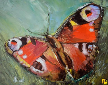 Motyl