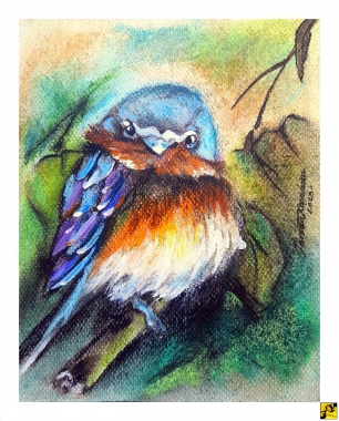 Błękitny ptak Czaruś