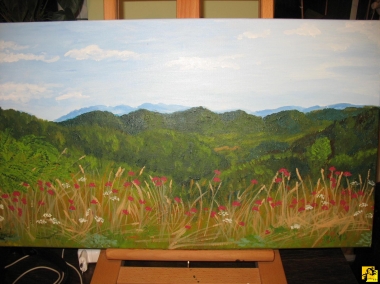 Z bieszczadzkiej łaki