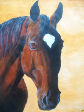 Koń pełnek krwi angielskiej