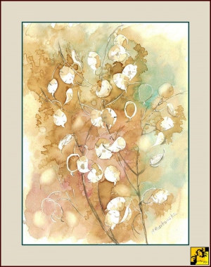 Miesiącznica  w suchym bukiecie