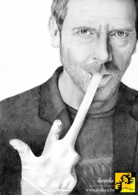 Hugh Laurie jako dr House