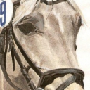 Koń Promyk Jutrzenki Koń Promyk Jutrzenki