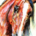 Western oo Western oo