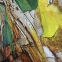 effet papillon effet papillon