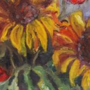 słoneczniki słoneczniki