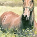 Koń przyczajony Koń przyczajony