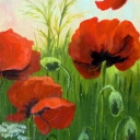 Wspomnienie lata Wspomnienie lata