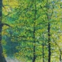 pejzaż leśny pejzaż leśny