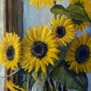 słoneczniki słoneczniki