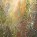 Pajęczyna Pajęczyna