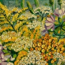 Żółte kwiaty Żółte kwiaty