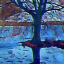 jesienne drzewo jesienne drzewo