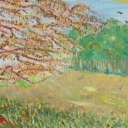 cyprysnik błotny cyprysnik błotny