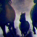 galopujące galopujące