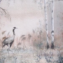 Żuraw i brzozy Żuraw i brzozy