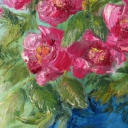 Kwiaty dzikiej róży Kwiaty dzikiej róży