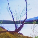 Kolo Polarne Kolo Polarne