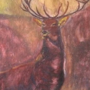 jelen w czasie burzy jelen w czasie burzy