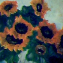 Słoneczniki Słoneczniki