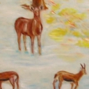 jelonki na śniegu jelonki na śniegu