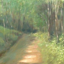 leśna droga leśna droga